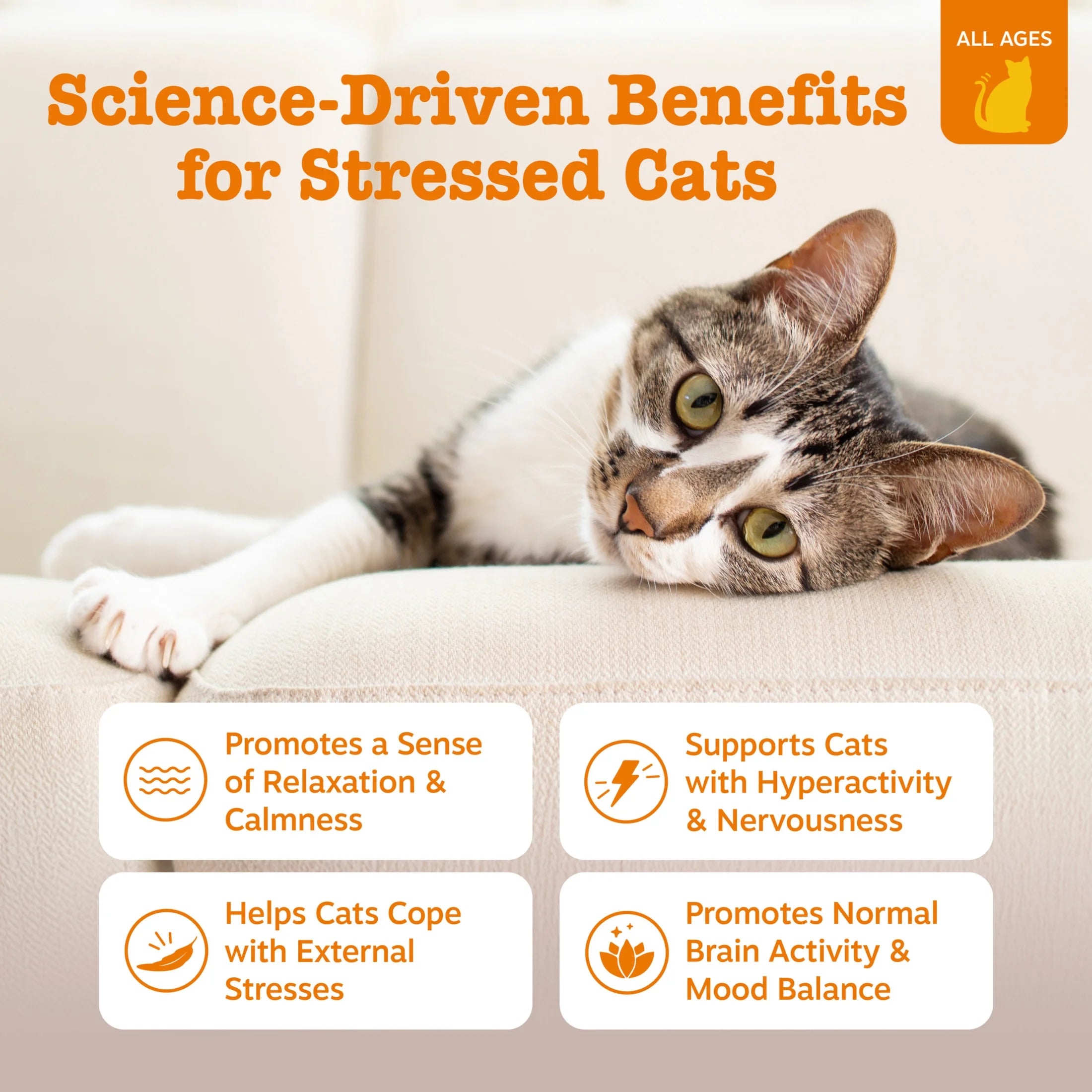 Calming Bites Bacon 30Ct - Cat (Pouch)