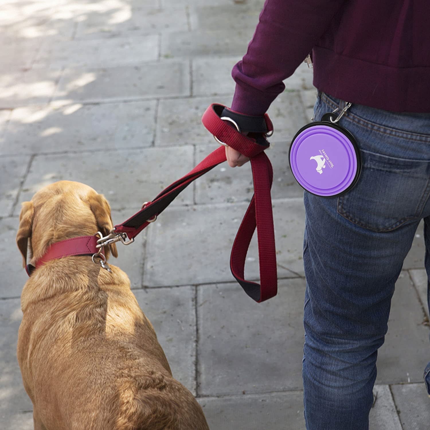 Collapsible Dog Bowls for Travel, 2-Pack Dog Portable Water Bowl for Dogs Cats Pet Foldable Feeding Watering Dish for Traveling Camping with Carabiners, BPA Free (Purple&Pink, Small (Pack of 2))