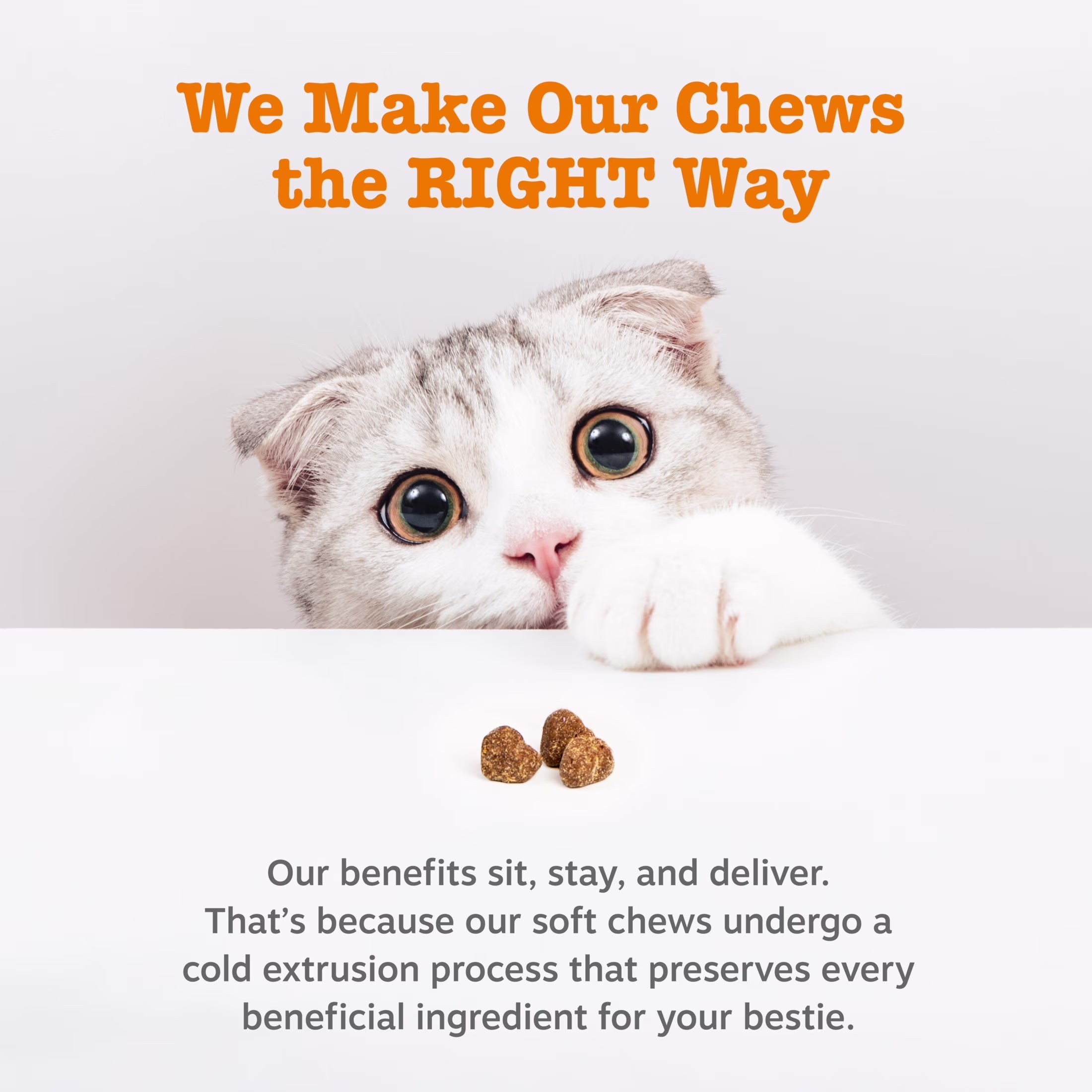 Calming Bites Bacon 30Ct - Cat (Pouch)