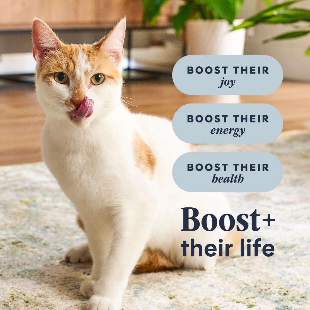 Rawboost, Dry Cat Food + Freeze Dried, Real Chicken, 10 Lb Bag | High-Protein Kibble with Freshdried Raw Bites, Grain-Free, Cage-Free Chicken Recipe, Minimally Processed, Complete Nutrition