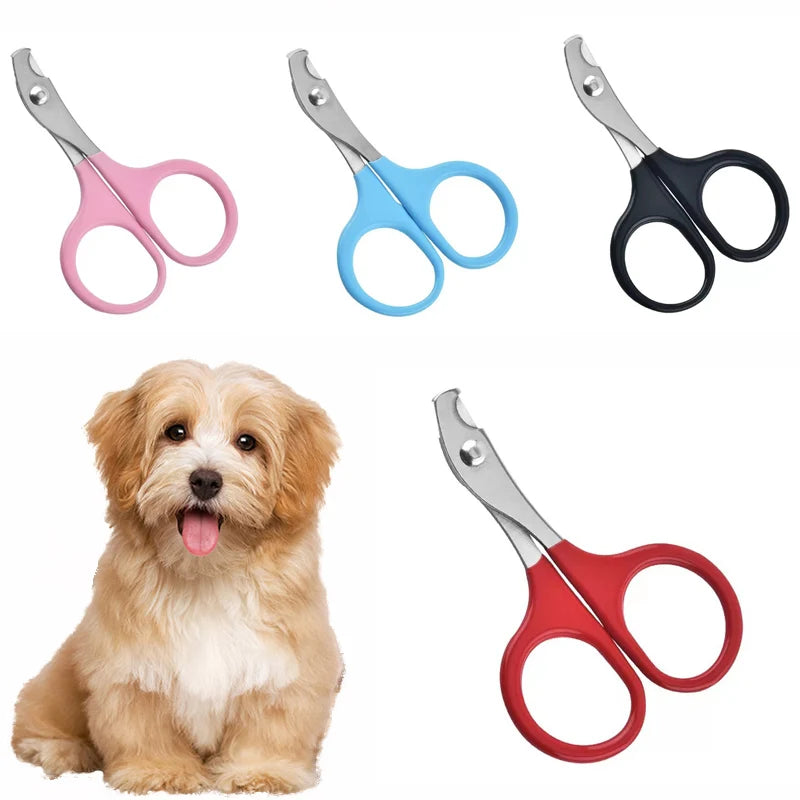 Professional Pet Nail Clippers – Stainless Steel Trimmer for Cats & Small Dogs