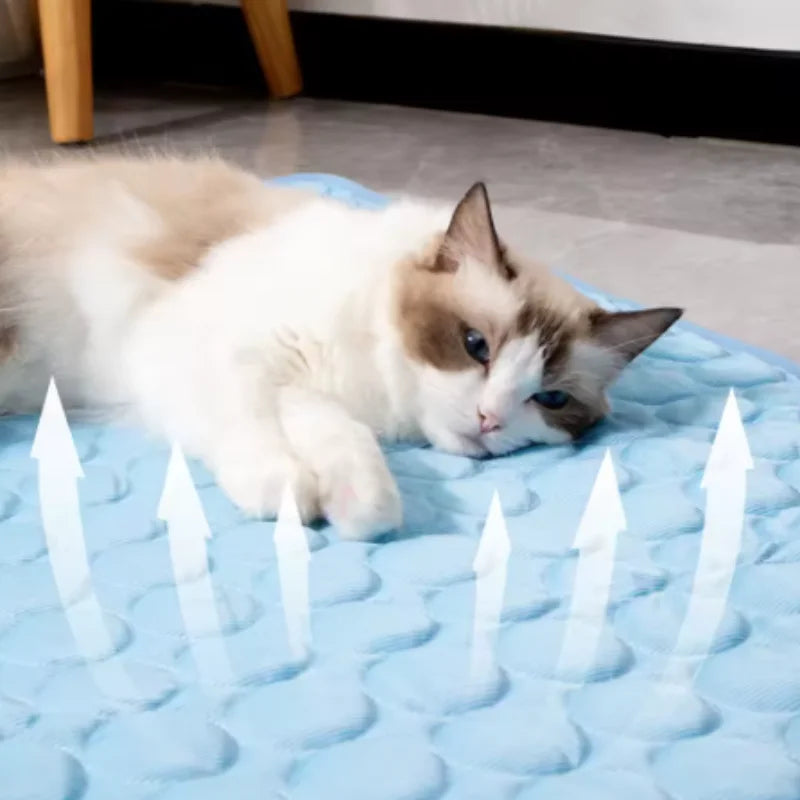 Self-Cooling Pet Mat | Washable Summer Bed for Dogs & Cats