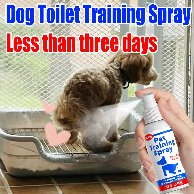 A hand holds a bottle of pet training spray in front of a small brown dog sitting in a metal litter box near a window. Large text at the top reads 'Dog Toilet Training Spray' and 'Less than three days'.