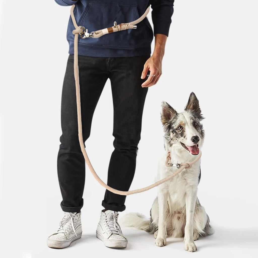Multifunctional Hands-Free Dog Leash | Braided Nylon for Medium & Large Dogs