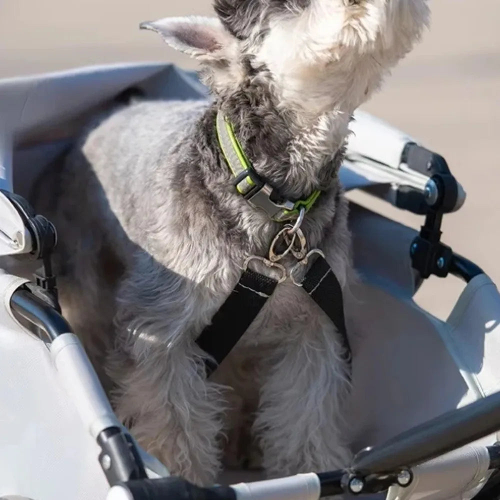 Roll & Stroll Pet Stroller – Lightweight Foldable 4-Wheel Carrier for Cats & Dogs