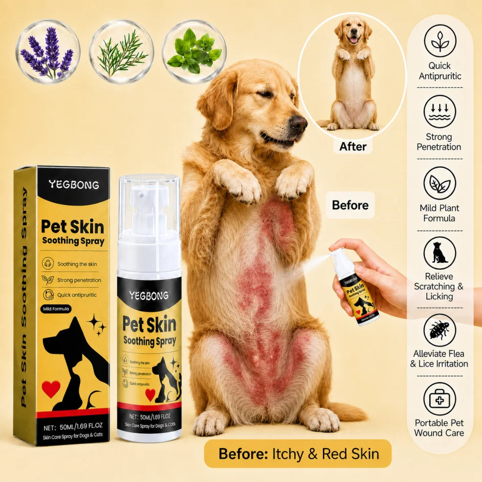 A golden retriever dog has an irritated red skin patch on its belly, with a human hand spraying the YEGBONG Pet Skin Soothing Spray onto the wound. The image includes the product box and spray bottle, botanical ingredient illustrations (lavender, rosemary, mint), an 'After' inset showing a healed dog, and a list of benefits on the right.