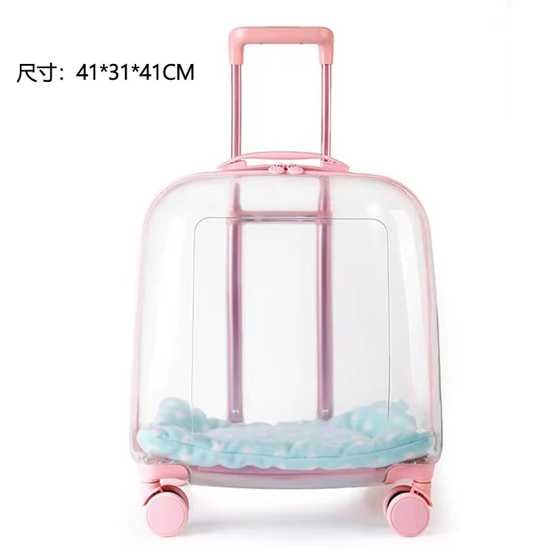 A clear hard-shell pet carrier suitcase with a pink handle and wheels, containing a light blue plush cushion, shown on a white background with Chinese text indicating dimensions.