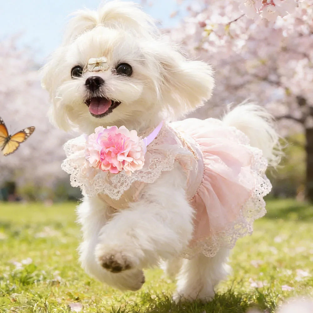 Dog & Cat Bow Ties | 30-Pack Spring Flower Style | Small Pets Wedding & Party Accessories