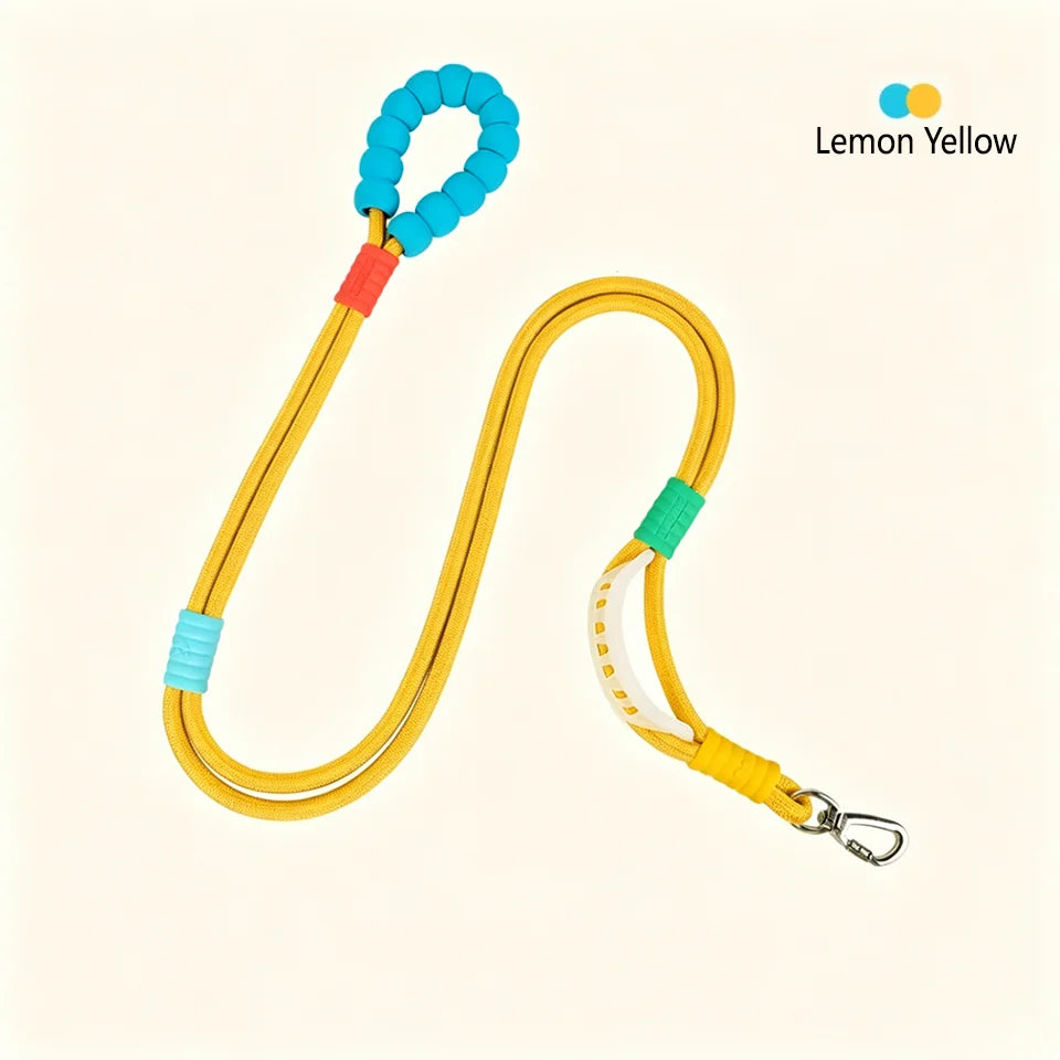 No-Pull Dual-Mode Dog Leash with Shock Absorber