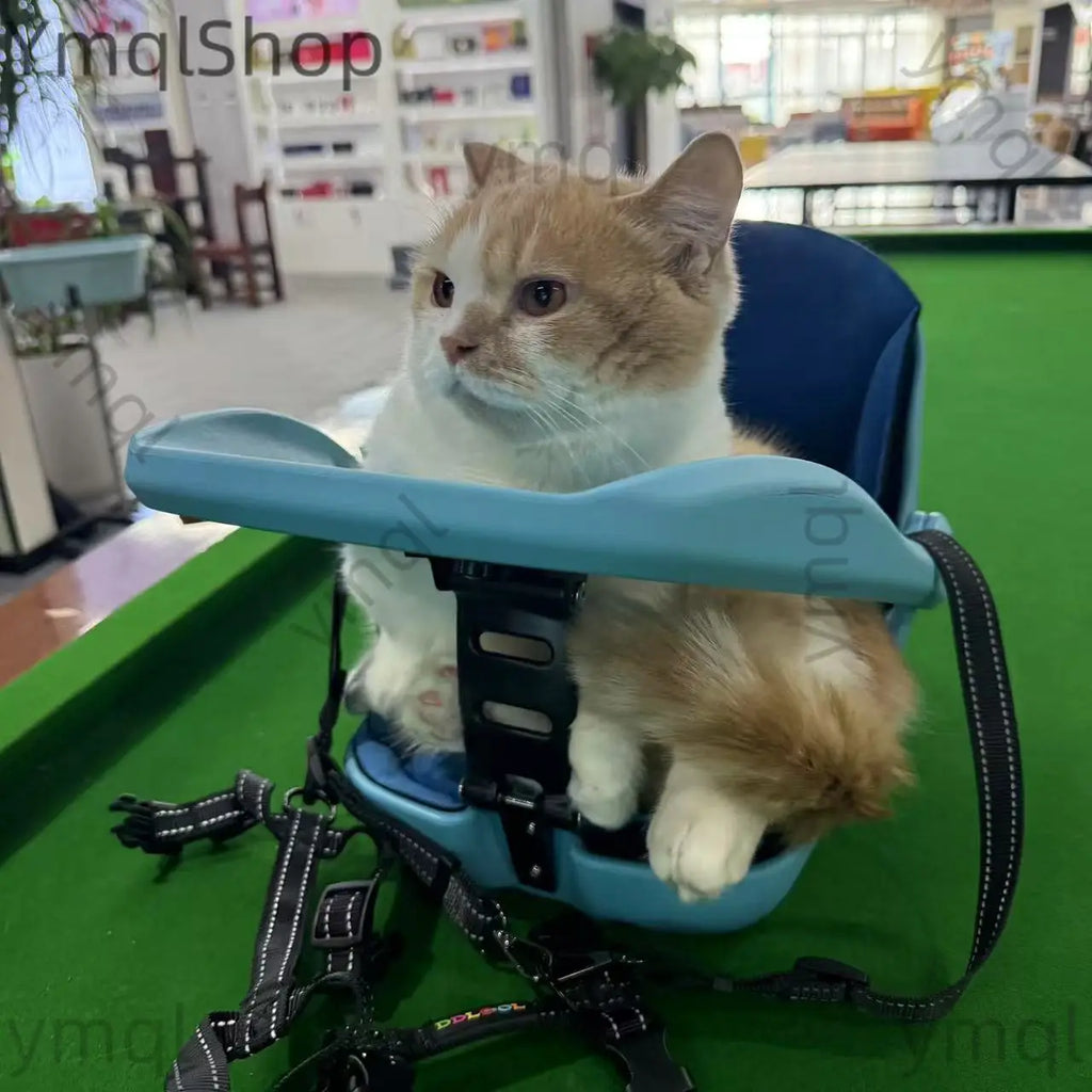 A fluffy orange and white cat sits inside a blue pet booster seat with a light blue front clip, placed on a green surface in what appears to be a store or home interior.