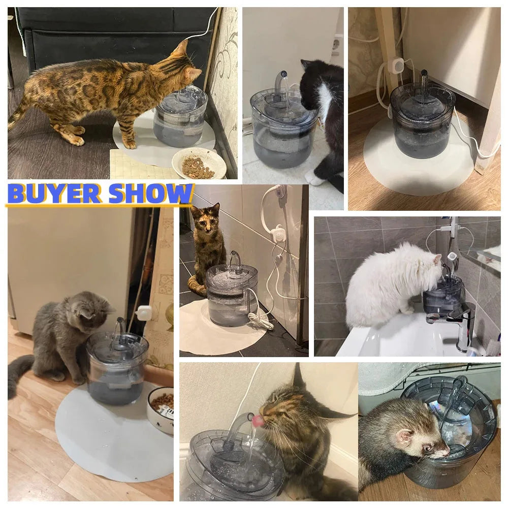 Automatic Pet Water Fountain with Carbon Filter – 2L