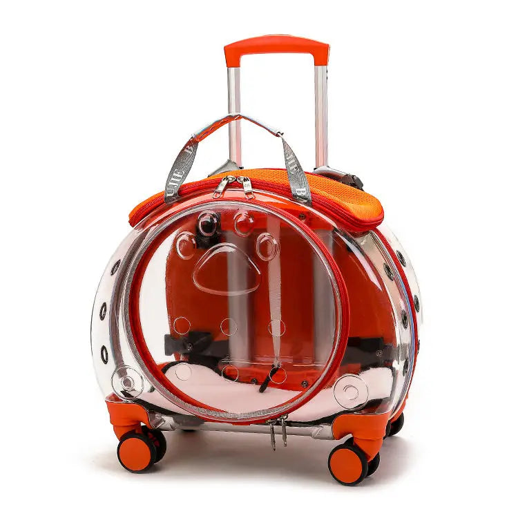 Transparent Pet Backpack Carrier