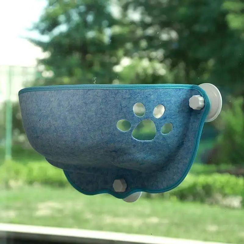 Blue pet window bowl with paw prints on a glass surface