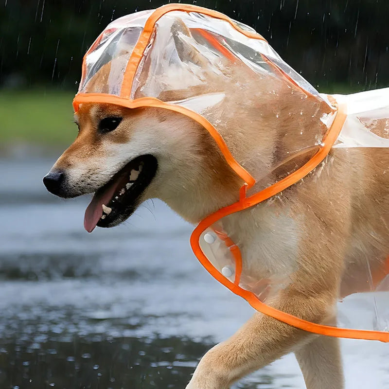 Transparent Dog Raincoat | Waterproof & Windproof Pet Rain Jacket (S-XL)