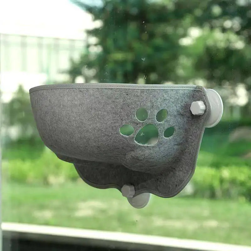 Window-mounted cat feeder with paw design on a glass surface