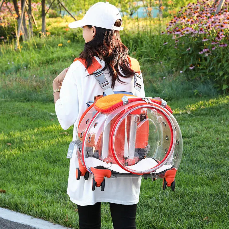 A woman outdoors on a grassy path wearing a large transparent pet carrier backpack with orange trim and wheels. The backpack has clear plastic domes and bright orange accents, shown from behind as the woman walks among flowers and greenery.