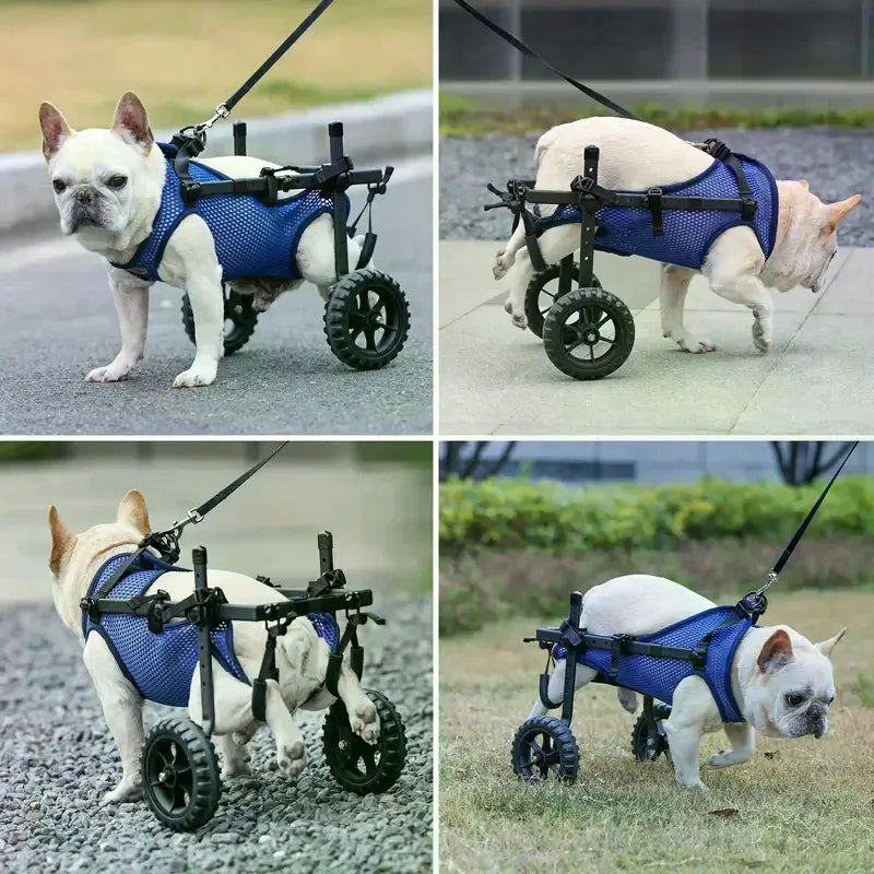 Adjustable Dog Wheelchair for Back Legs