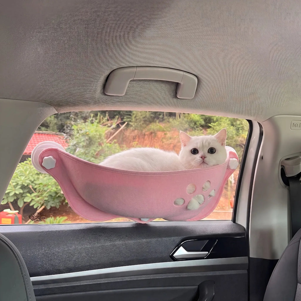 A white cat rests inside a pink car window pet bed mounted on the rear window of a vehicle.