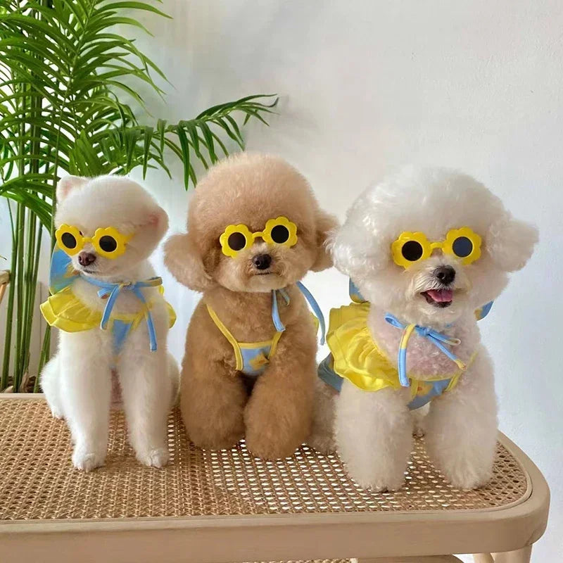 Sunny Paws Beach Set – 2-Piece Summer Dress & Cap for Small Dogs