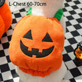 Halloween Pumpkin Dog & Cat Costume