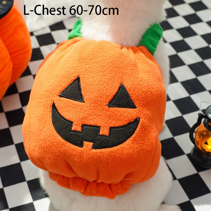Halloween Pumpkin Dog & Cat Costume