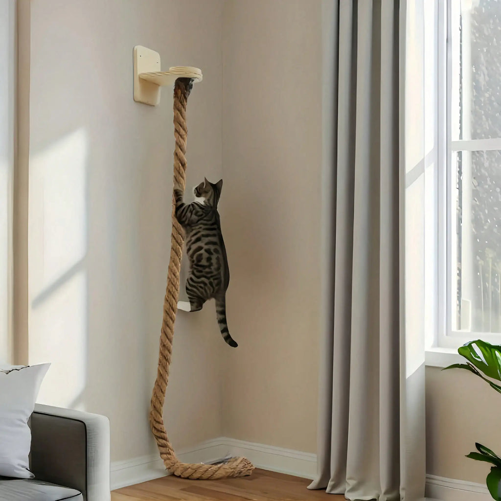 Cat climbing a rope on a wall-mounted cat tree in a room with a window and curtains.