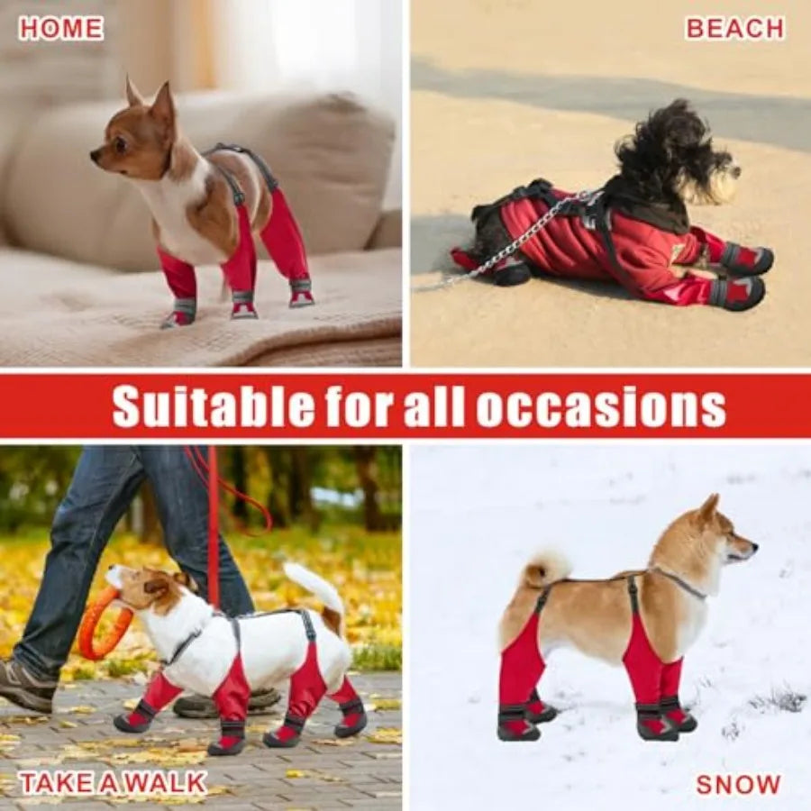 A 2x2 collage showing a small dog wearing red and black boot covers in different settings: on a couch labeled HOME, on sand labeled BEACH, being walked outdoors labeled TAKE A WALK, and in the snow labeled SNOW. Large text across the center reads 'Suitable for all occasions'.