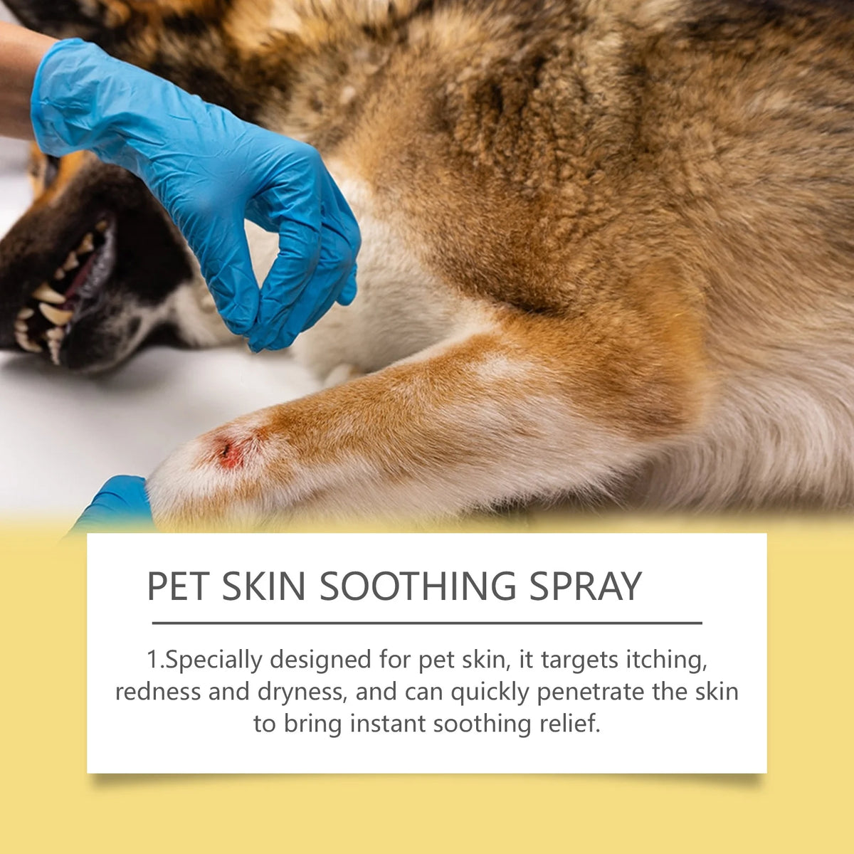 Dog receiving pet skin soothing spray on a white background