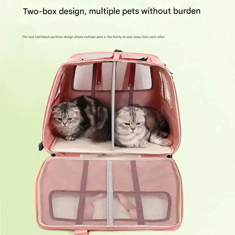 Pink pet carrier with two cats inside on a light green background