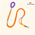 No-Pull Dual-Mode Dog Leash with Shock Absorber