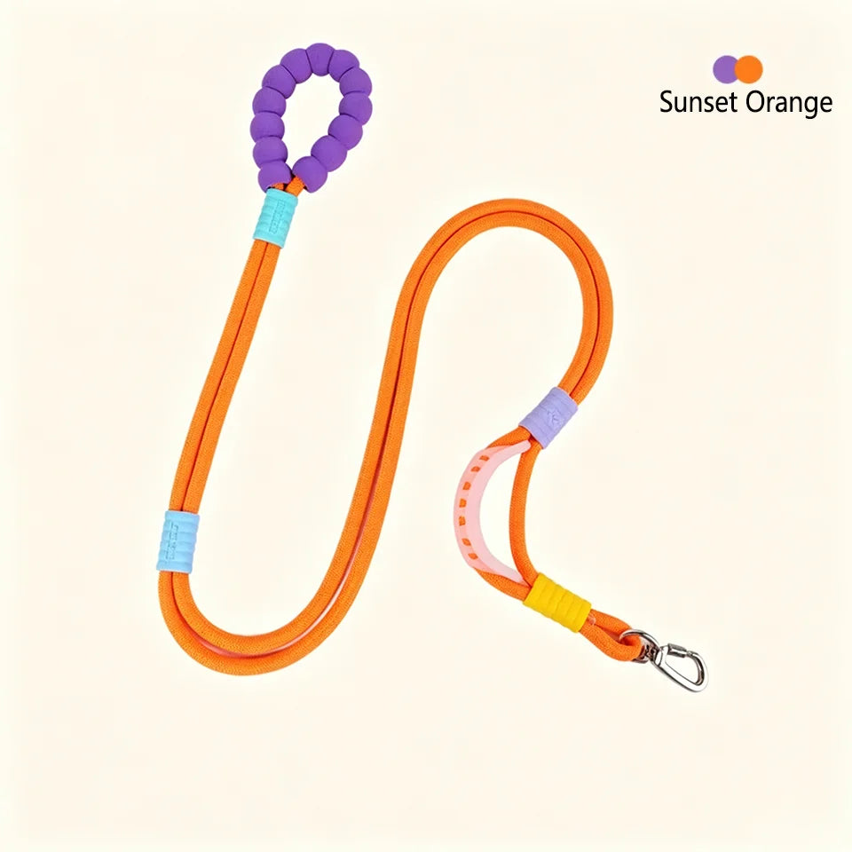 No-Pull Dual-Mode Dog Leash with Shock Absorber