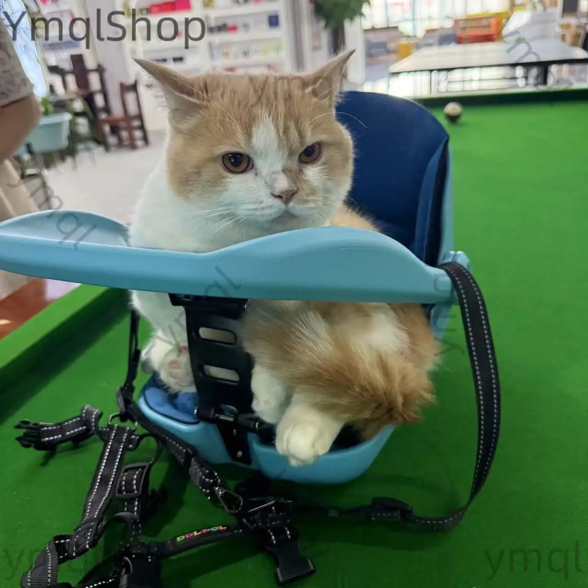 A long-haired orange and white cat sits in a blue pet booster seat with a light blue headrest and harness straps, placed on a green surface in an indoor shop setting.