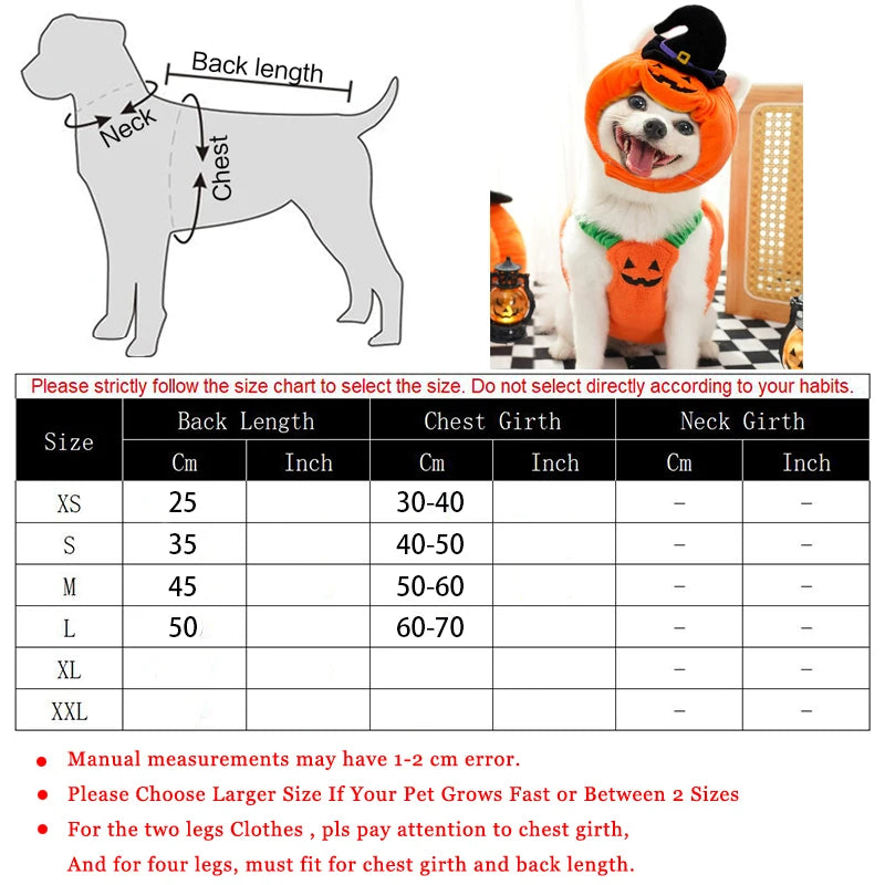 Halloween Pumpkin Dog & Cat Costume