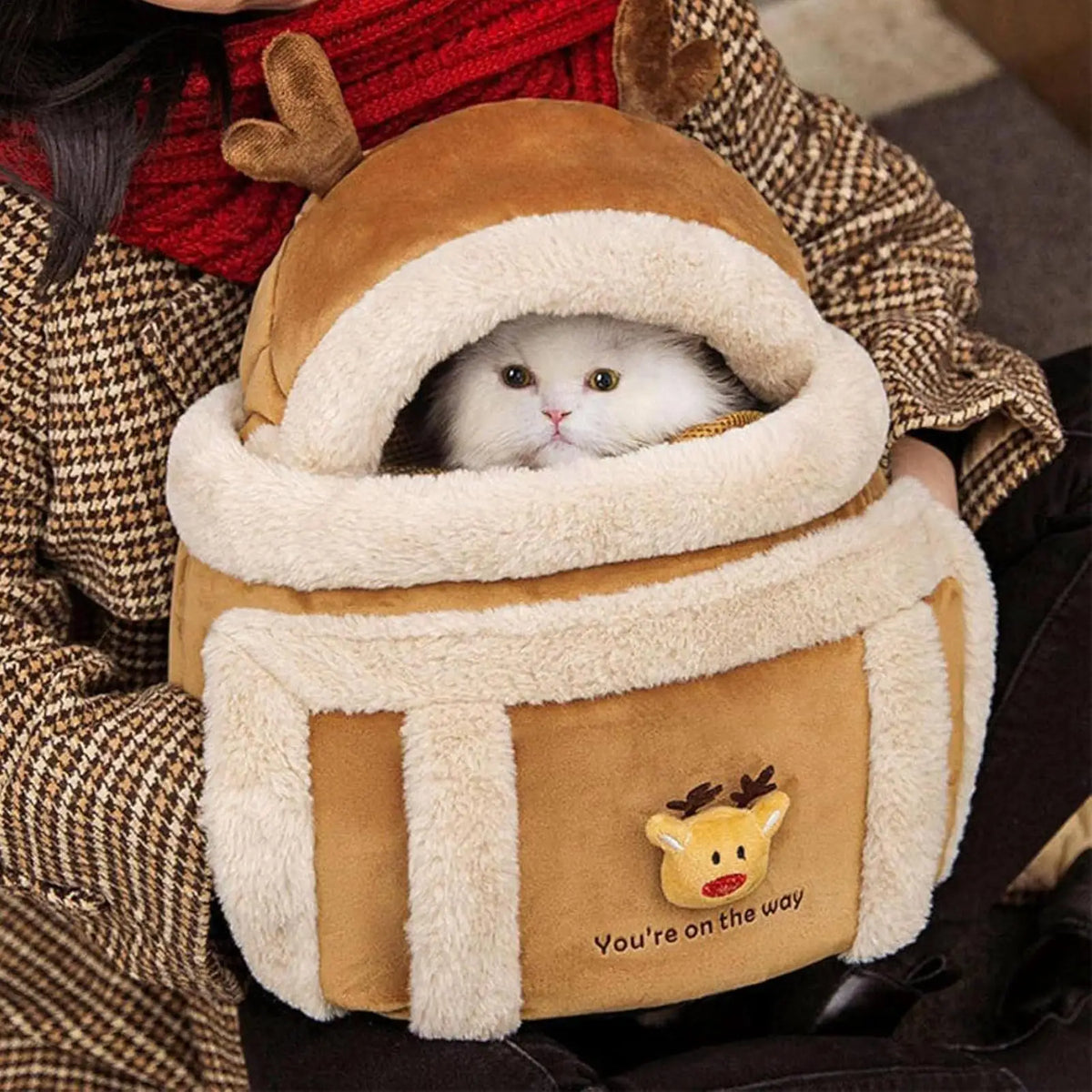 Cat in a brown pet carrier with a reindeer design held by a person wearing a red sweater and checkered coat.