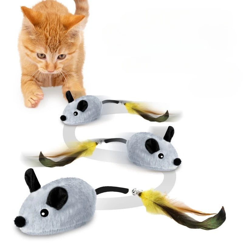 Cat playing with a toy mouse set on a white background