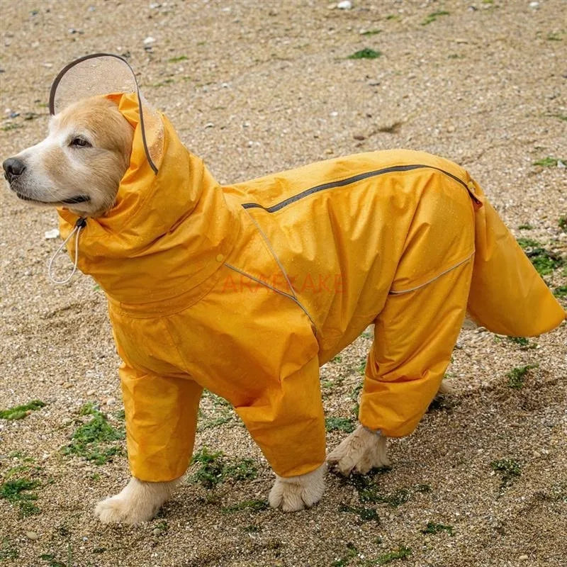 Dog wearing a yellow raincoat on a sandy ground