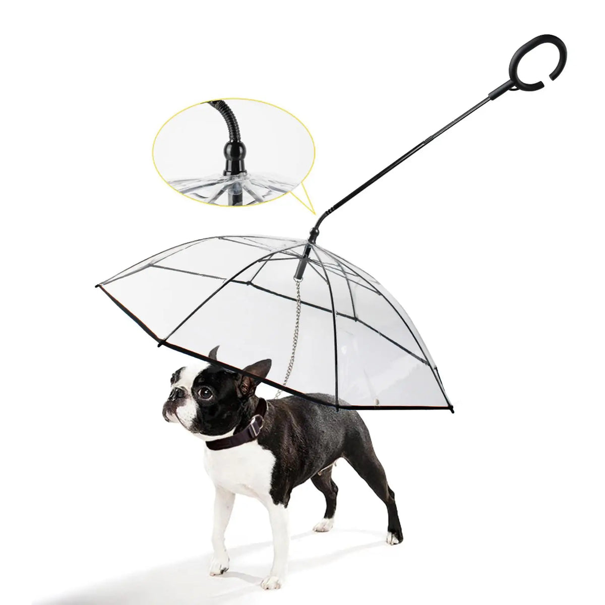 Dog wearing a transparent umbrella with a black handle on a white background