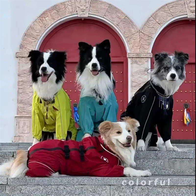 Waterproof Dog Raincoat with Reflective Strips – Adjustable Rain Jacket for Small, Medium & Large Dogs