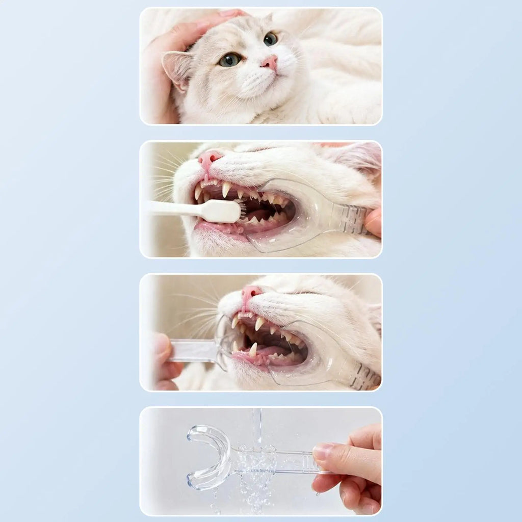 Pet Dental Mouth Opener Set (6-Pack)