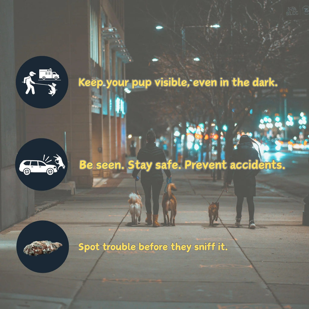People walking dogs on a city street with safety messaging overlay.
