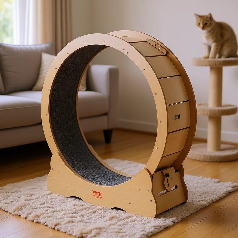 A wooden cat exercise wheel with a dark gray textured inner surface stands on a white rug in a living room. A ginger cat is visible on a nearby cat tree, and a sofa appears in the background.