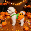 Halloween Pumpkin Dog & Cat Costume