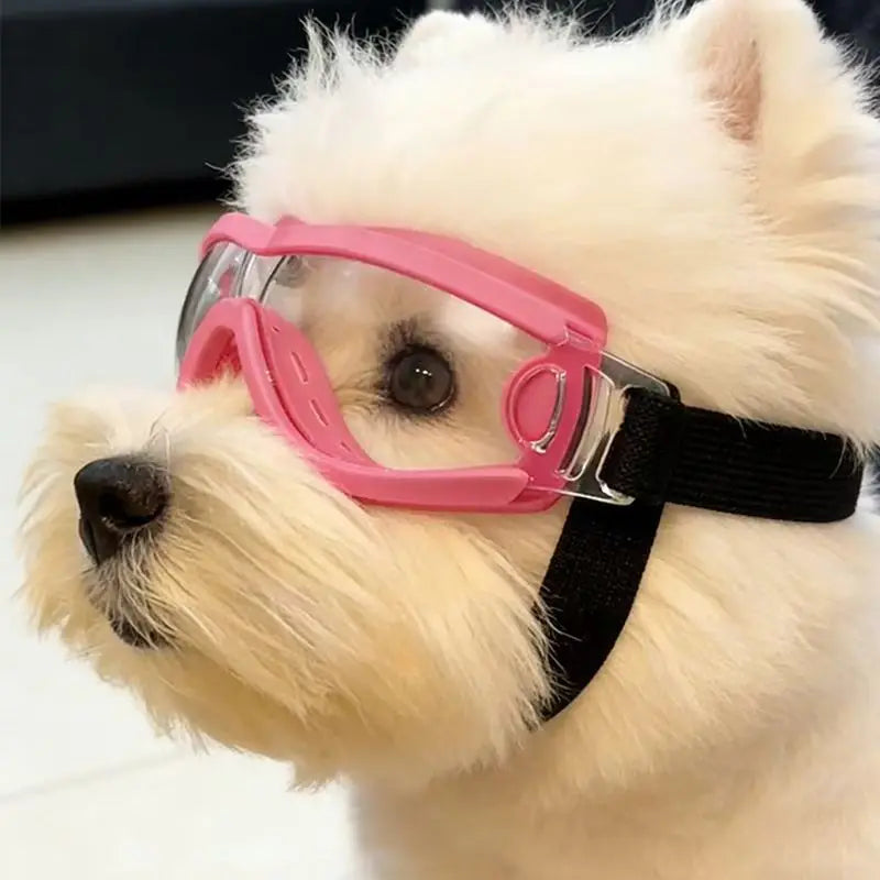 Dog Goggles for Sun, Wind & Dust