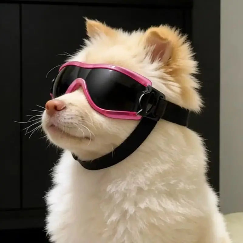 Dog Goggles for Sun, Wind & Dust