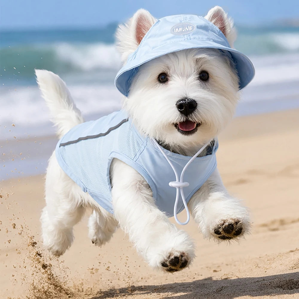 Small white dog wearing a light blue outfit and hat running on a sandy beach with ocean in the background