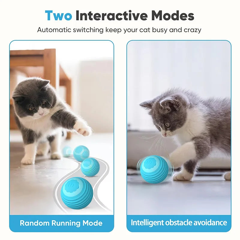 Smart Electric Rolling Ball Cat Toy – USB Rechargeable Interactive Chew-Proof Toy