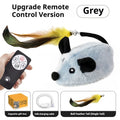 Cat toy with remote control and feather attachment on a white background