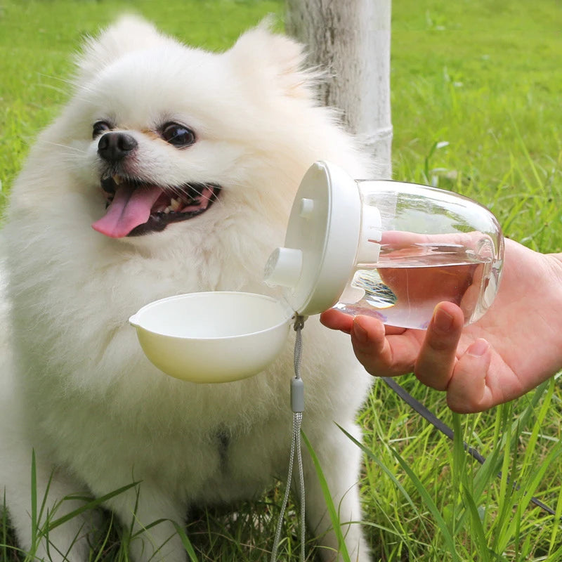 Portable Pet Water Bottle with Lanyard | 300ml & 500ml Dog Travel Dispenser