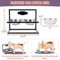Elevated double dog bowl pet feeder with dimensions shown, including a black metal frame, two stainless steel bowls, and measurement lines indicating 12.5 inches tall by 16.