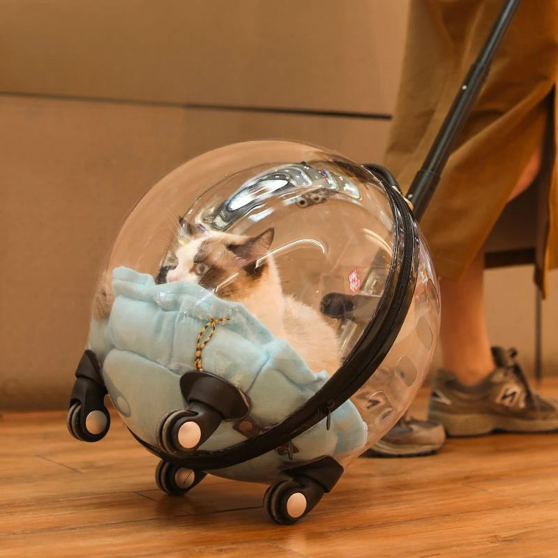 Cat inside a transparent ball with wheels, being pulled by a person on a wooden floor.